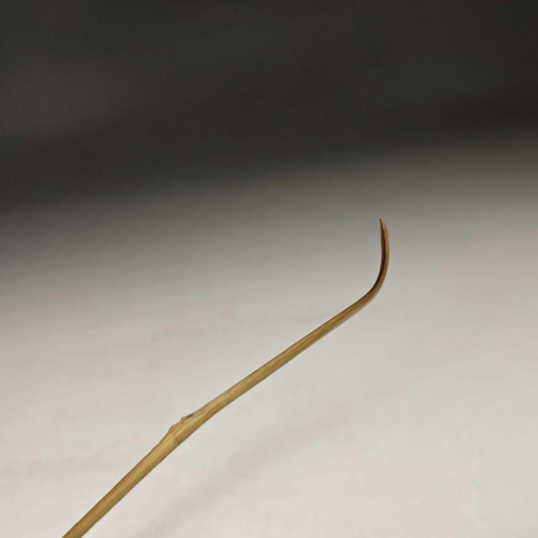 ウ278 茶杓『大徳寺　藤井誡堂　極箱　在銘』『竹器師　黒田宗玄　下削』茶道具