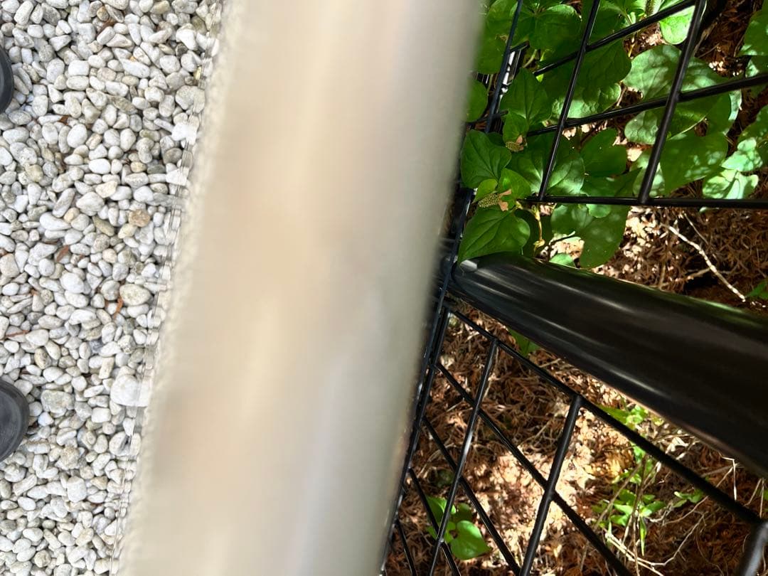 ARENAL / MICROGLIDE 7`4 ミッドレングス