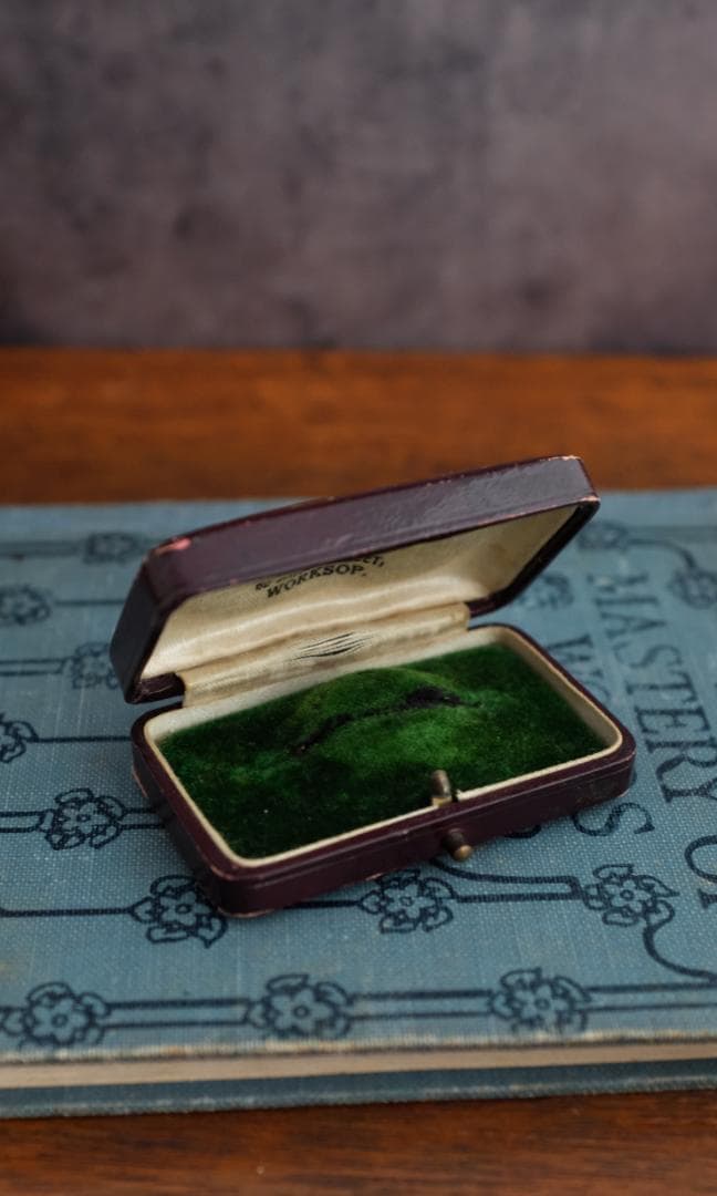 イギリスアンティークブローチケース＊英国アンティークボックス＊グリーン＊ブラウン