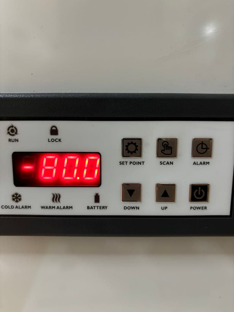 清潔コオロギ　2kg 2.0〜2.5cm多め　冷凍コオロギ