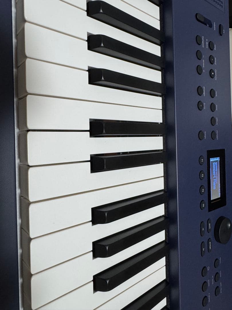 せ*ん様 Roland GO:KEYS 3 -MUミッドナイトブルー 別売専用付