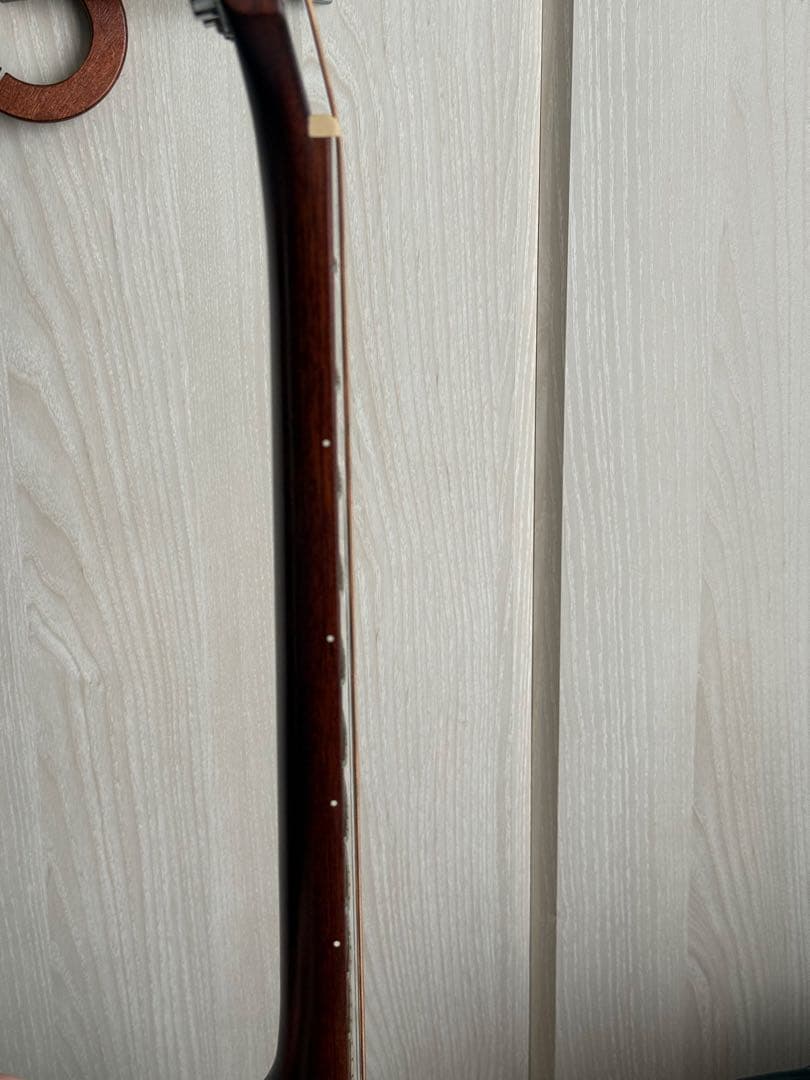 James J-600DCNAT アコースティックギター ケース付き　エレアコ