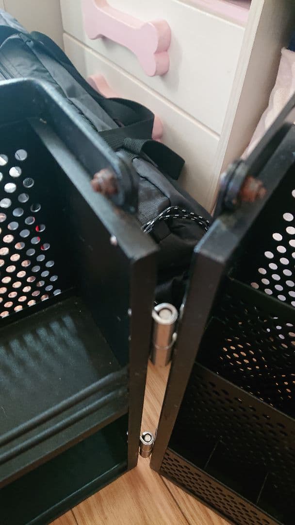 DOD　シェフレルシェルフ