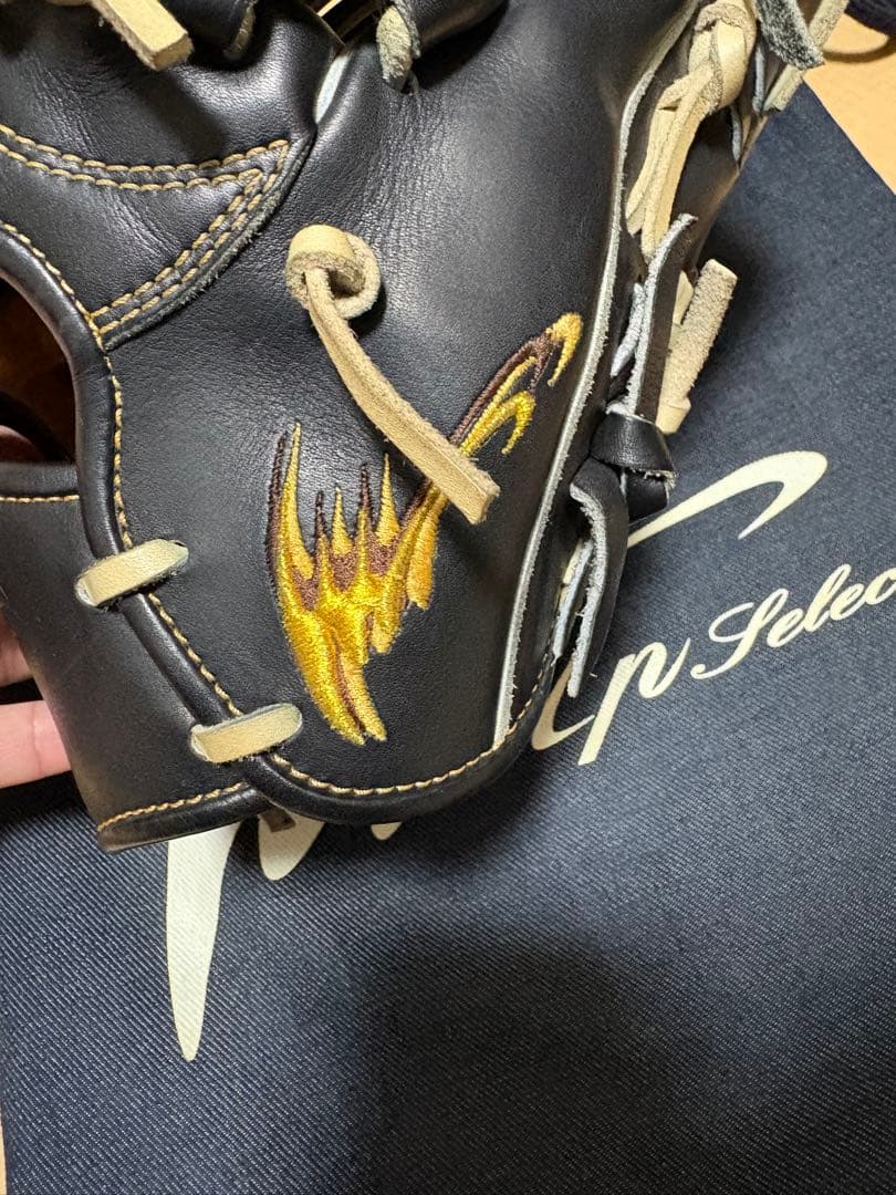 アイピーセレクト　アルモニーア　硬式用グローブ　　限定品　直刺繍