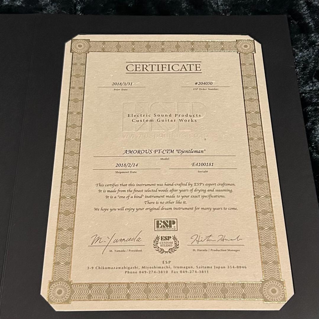 本日限定出品 ESP AMOROUS FT-CTM 2018