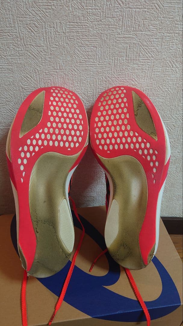 ASICS　メタスピードスカイトーキョー