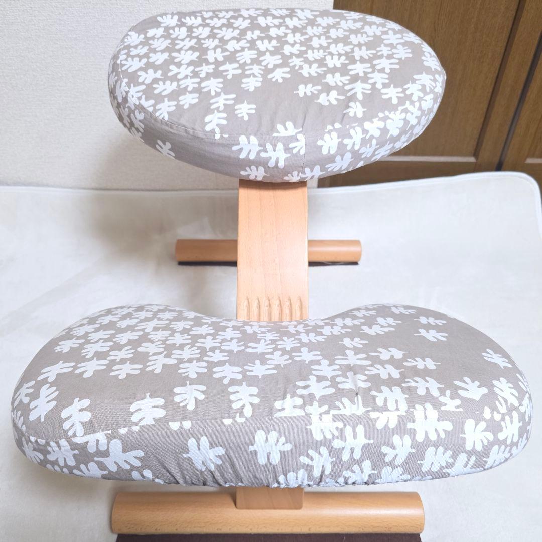 446】Rybo リボ社 Balans Easy バランスイージー カバー付