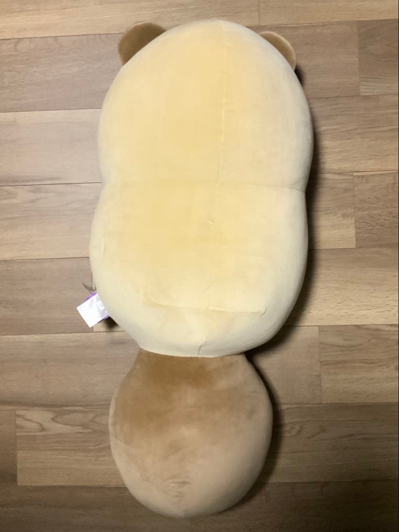 タヌキとキツネ　すやすやフレンド　タヌキ