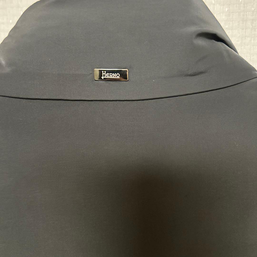 HERNO グレー ダウンジャケット サイズ46