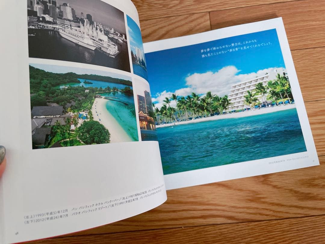 東急グループ　創立100周年　記念入場券　東急電鉄