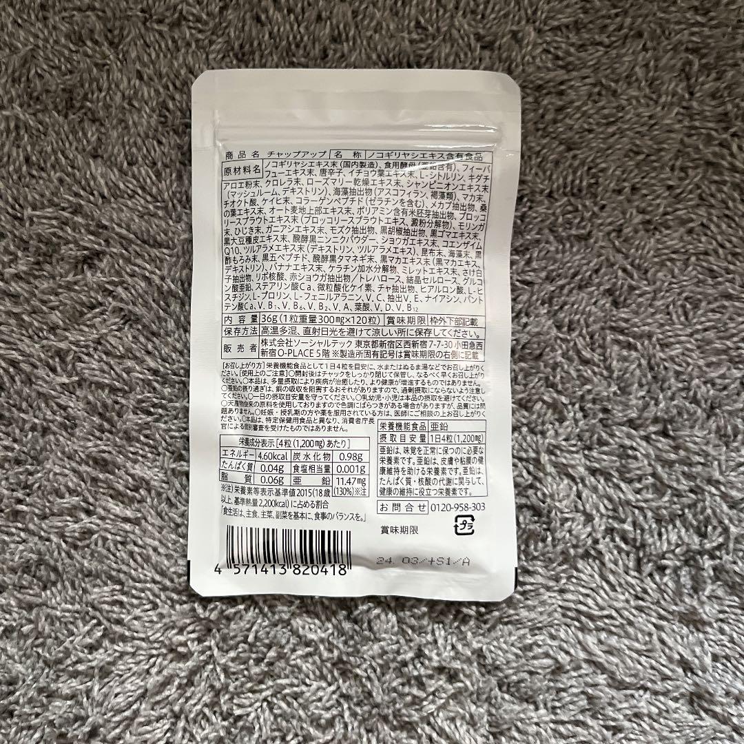 薬用 チャップアップ CHAPUP 育毛ローション 120ml 育毛剤