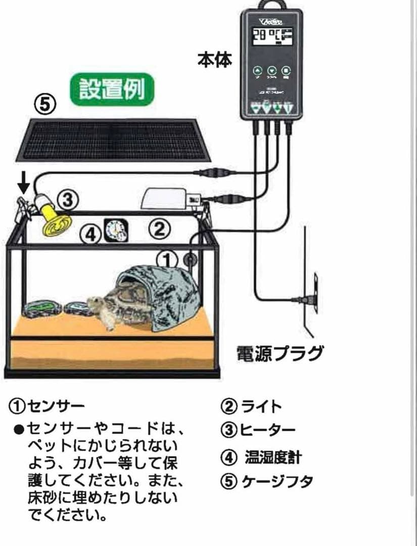 ミントのくちばし　