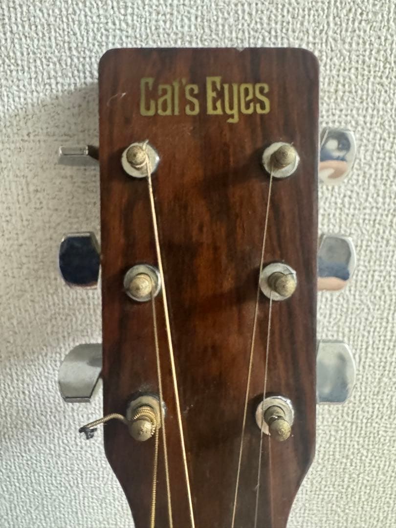 cat's eyesアコースティックギター　ソフトケース付き