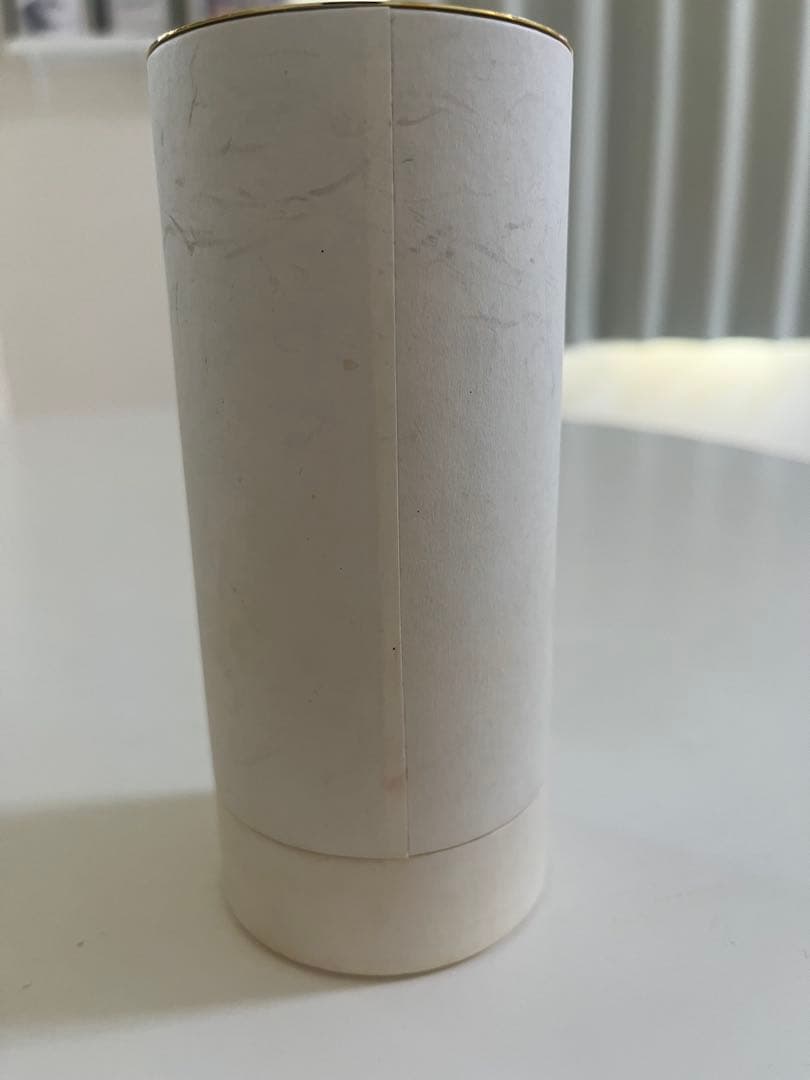 発送不可『12/31〜1/1』 ルイヴィトン　ルジュールスレーヴ