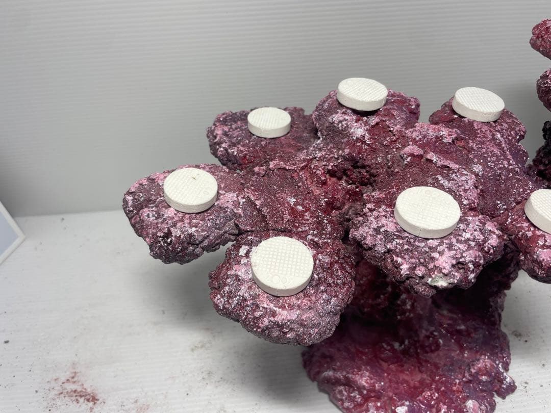 【送料無料】人工ライブロック　PHR36／11穴加工　アク抜き済み安心塗料使用