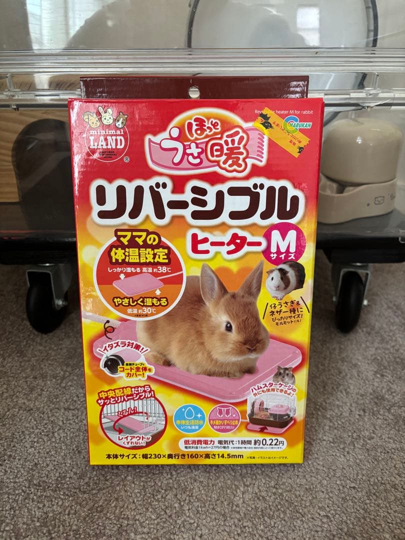 ハリネズミ　飼育セット