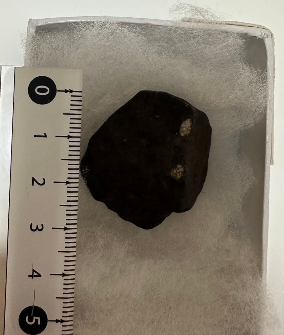 ⑧ チェリャビンスク隕石 29.9g LL5 ロシア隕石　meteorite