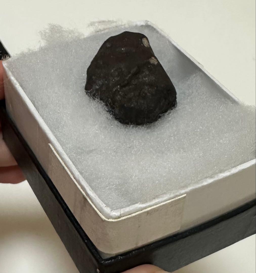 ⑧ チェリャビンスク隕石 29.9g LL5 ロシア隕石　meteorite