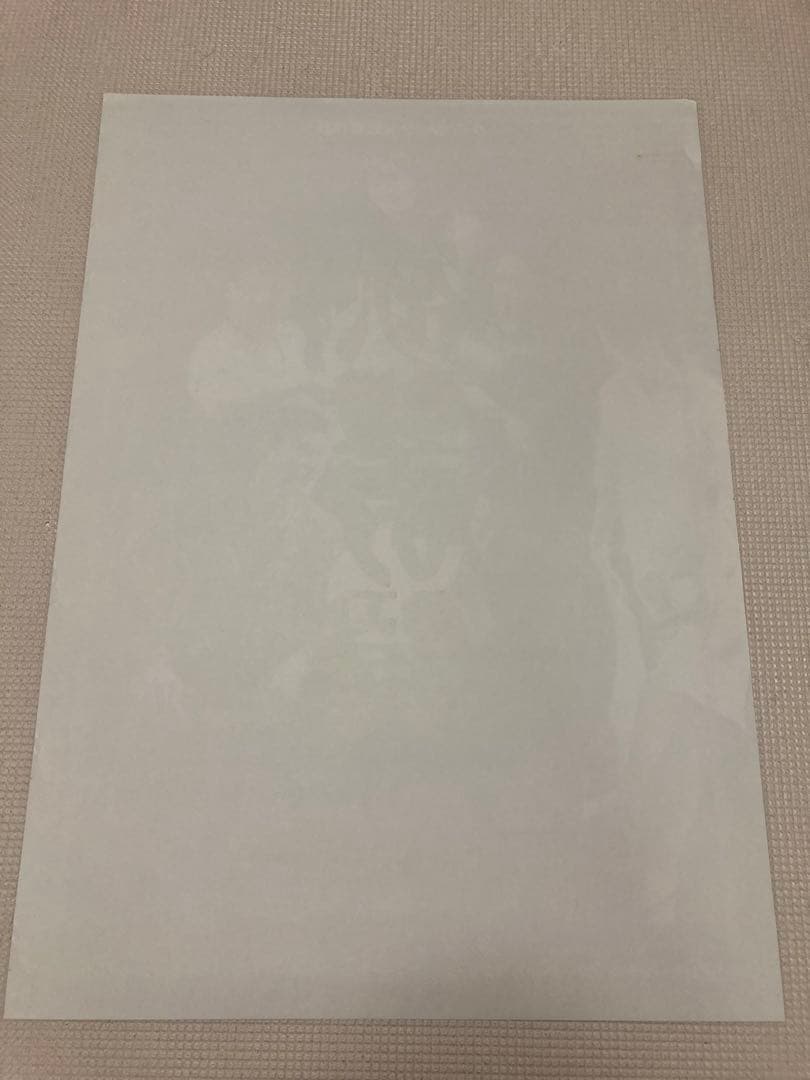 レスリーチャン　ポスター　欲望の翼