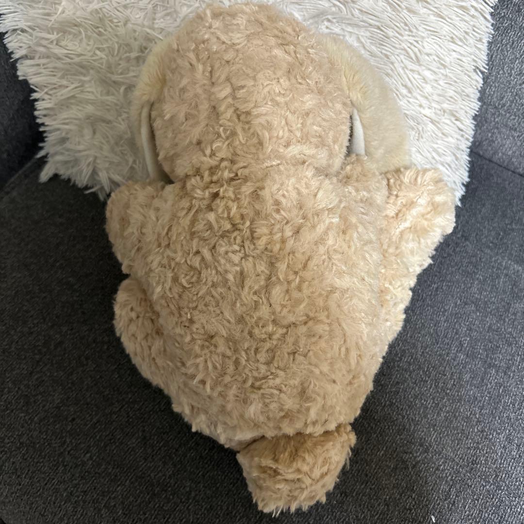 コモアンドレイ Como&Ray うさぎ　ぬいぐるみ　希少