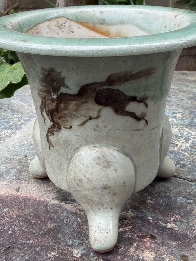 大堀相馬焼　相馬駒焼　万年青鉢