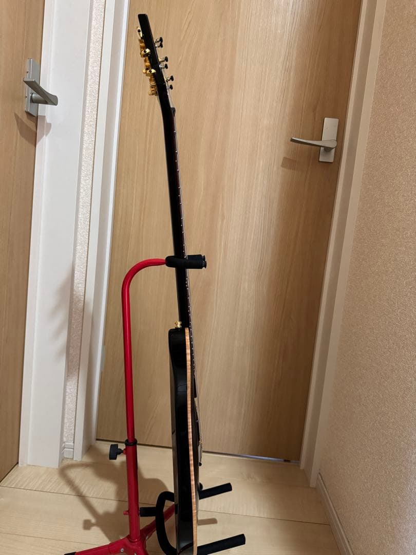 PRS Custom 24 10 top ステンレスフレット　 カスタム多数