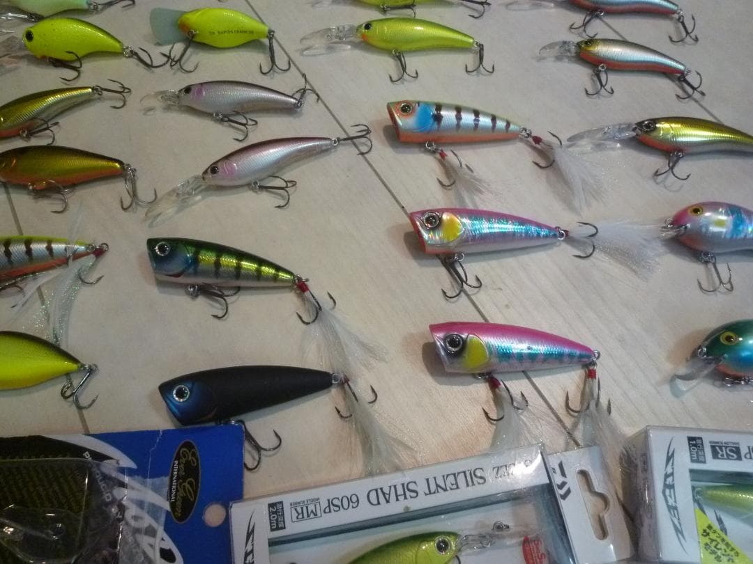 エバーグリーン　ダイワその他セット