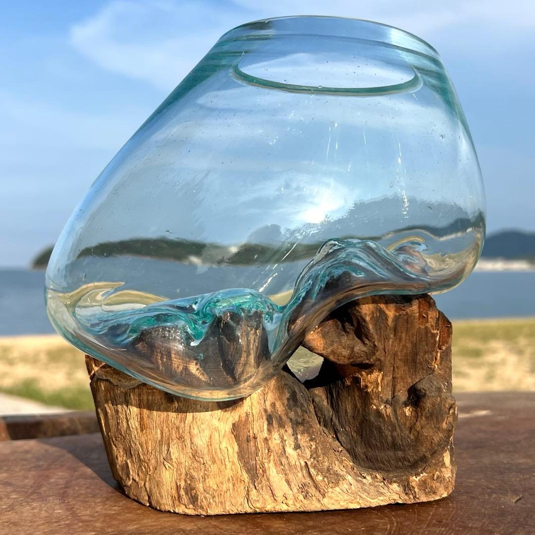 流木ガラス オブジェ中S 花瓶 金魚鉢 ガーデニング テラリウム 観賞魚 容器