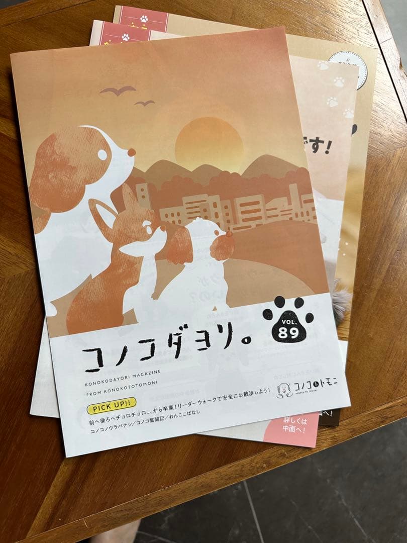 このこのごはん ドッグフード　1kg×2袋　 賞味期限:2026.07.22