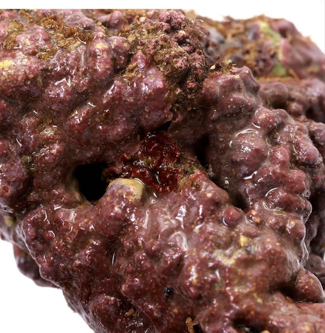 ライブロック EXSグレード レッドロック 30cm水槽用形状はコメントで要相談