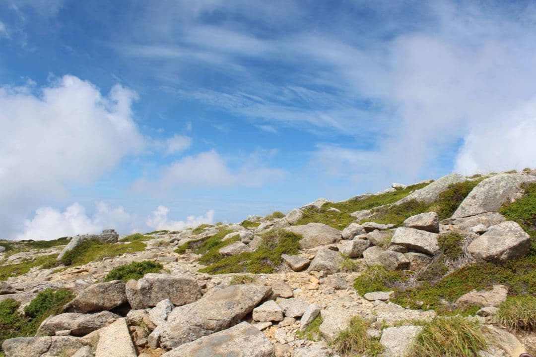 九神昇龍神　龍神　浄化　癒し　アチューメント　ヒーリング　伝授　エネルギー