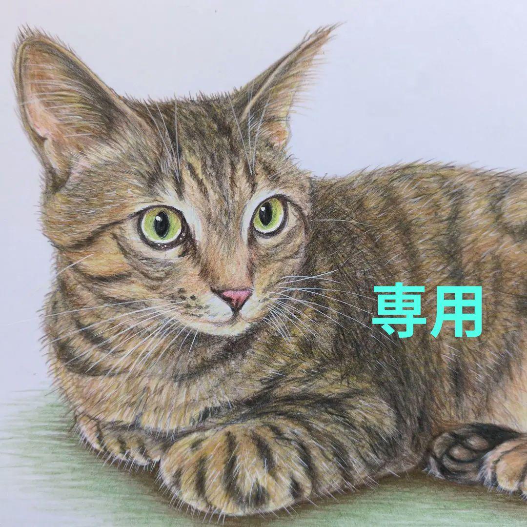 ウニ郎です♪　色鉛筆画 A5 犬・猫♡４枚