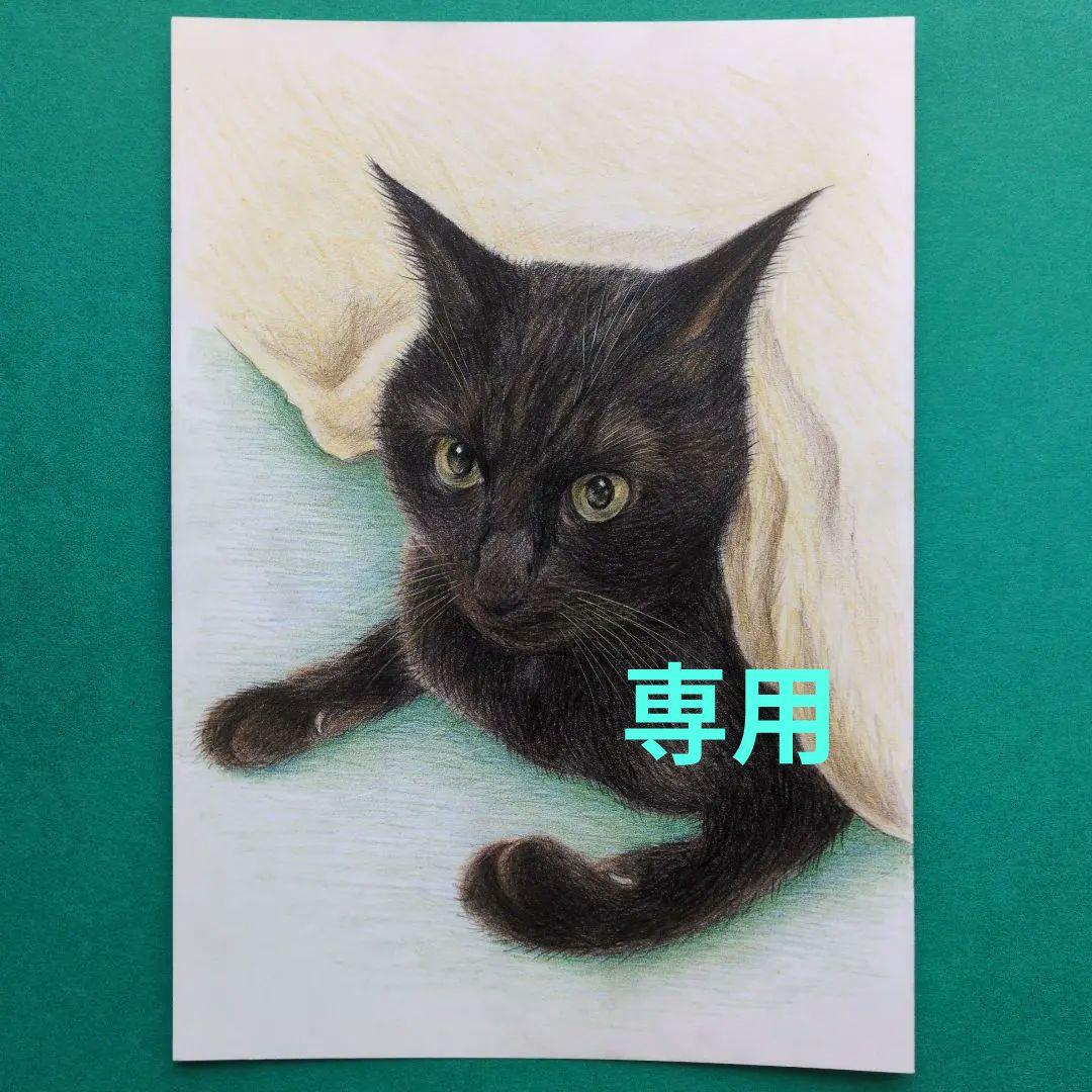 ウニ郎です♪　色鉛筆画 A5 犬・猫♡４枚