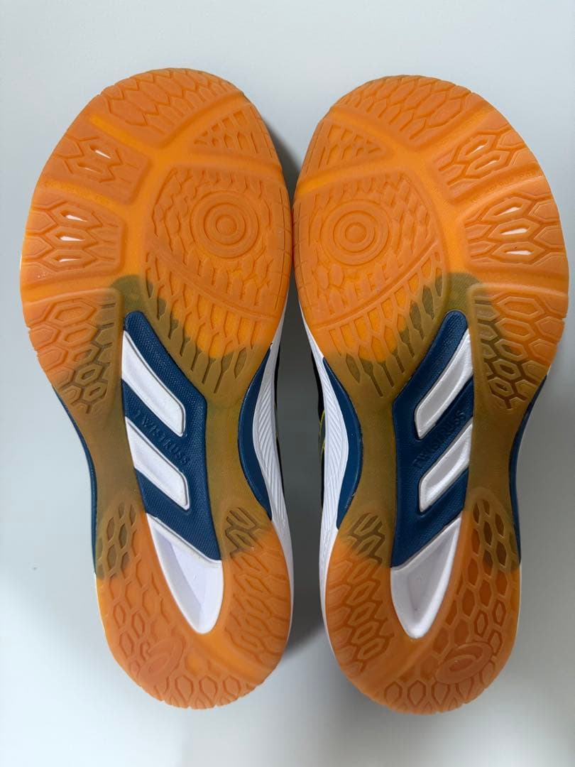 アシックスROTE JAPAN LYTE FF 3 25.5cm