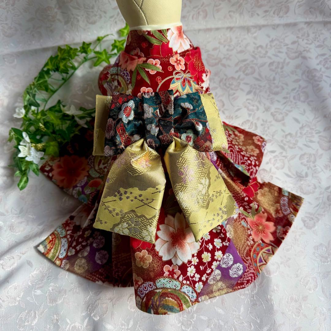 ☆ タッタ君あらわる ☆