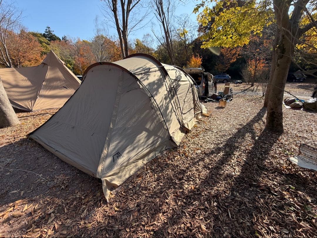 ★12/31発送までお値下げ★サバティカル　アルニカ　すぐ使える　ツールーム