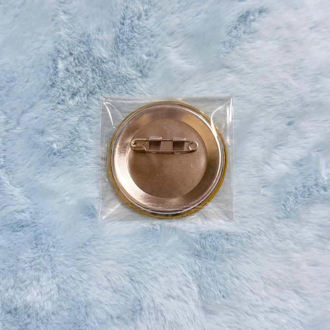 ポケモン XY トレーナー 缶バッジ セレナ