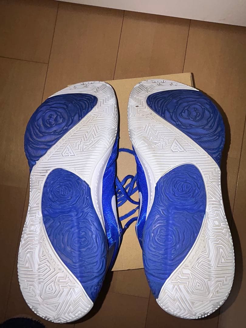 Zoom freak 1バッシュ 希少