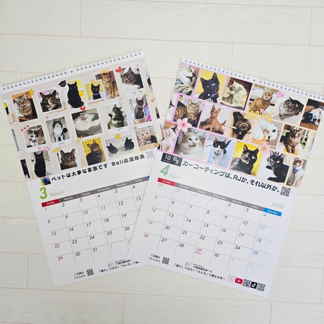 ③《猫》壁掛けチャリティーカレンダー10枚セット