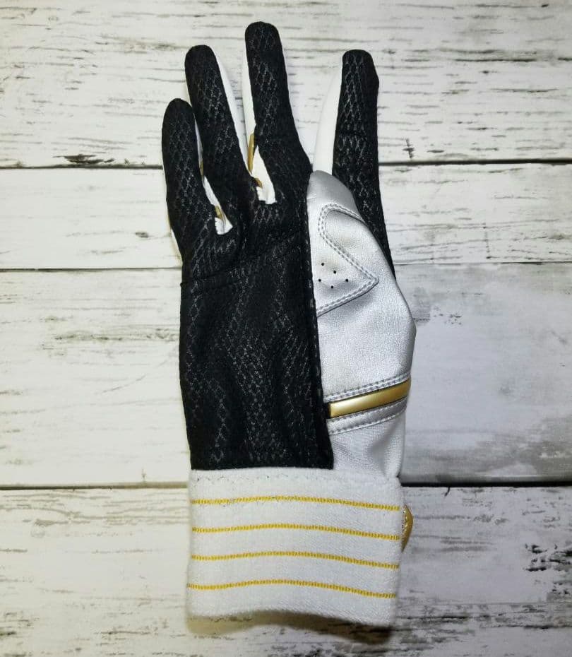 ミズノプロ バッティンググローブ オーダー 22cm