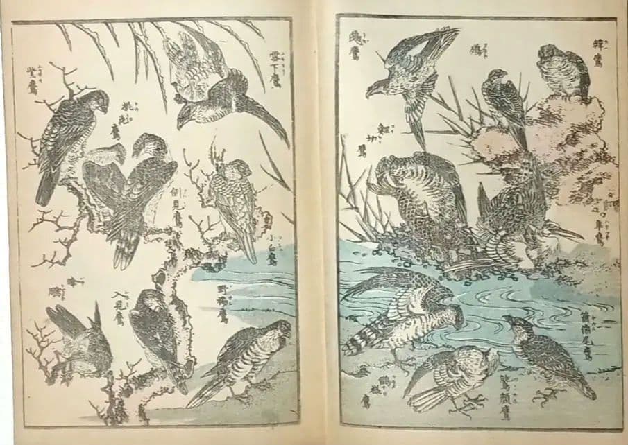 北斎画宛二編（色摺版画本)葛飾北斎画明治初期、後摺再板になります（初版は天保3年