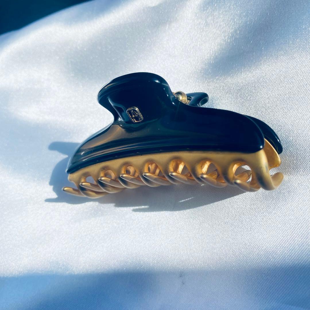 ALEXANDRE DE PARIS アレクサンドルドゥパリ S クリップ