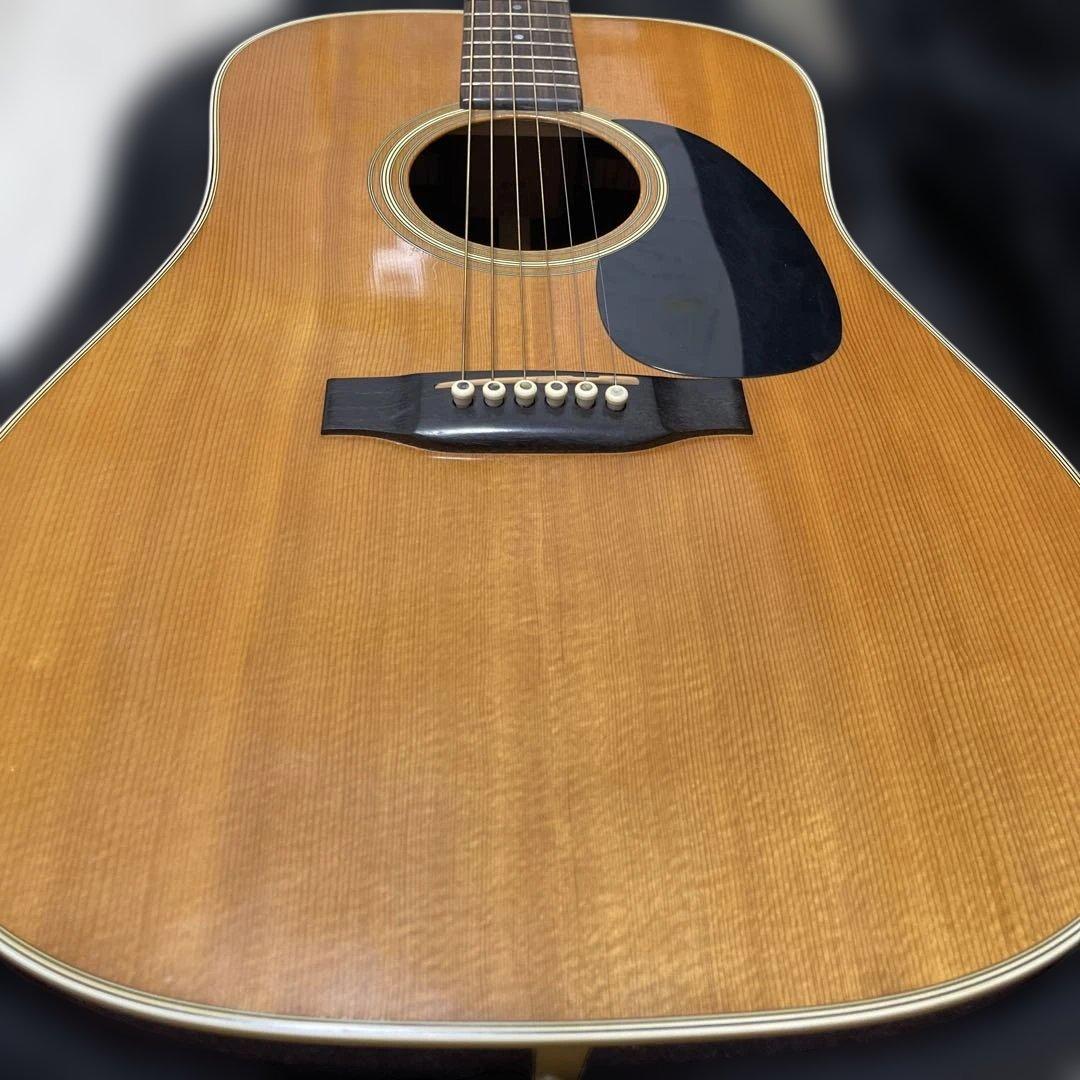 Martin & Co. アコースティックギター