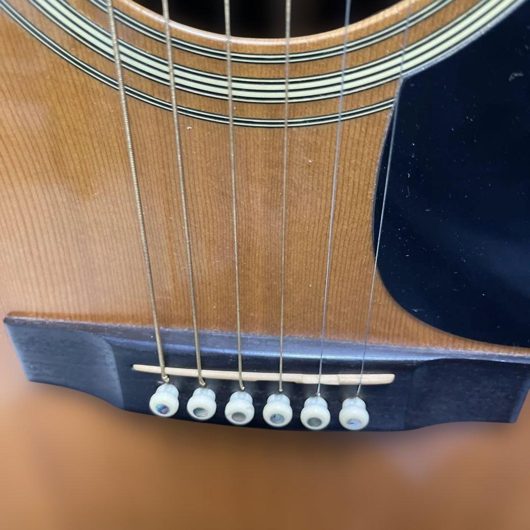 Martin & Co. アコースティックギター