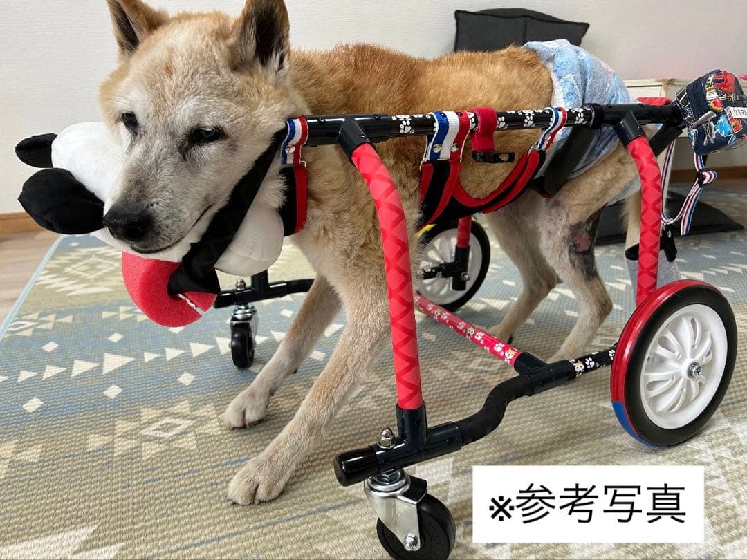 そのまま寝れる 犬の車椅子 柴犬用 車椅子 歩行サポート 四輪車
