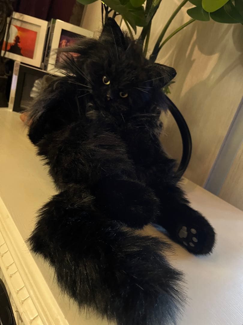 黒猫 ぬいぐるみ 等身大 リュック