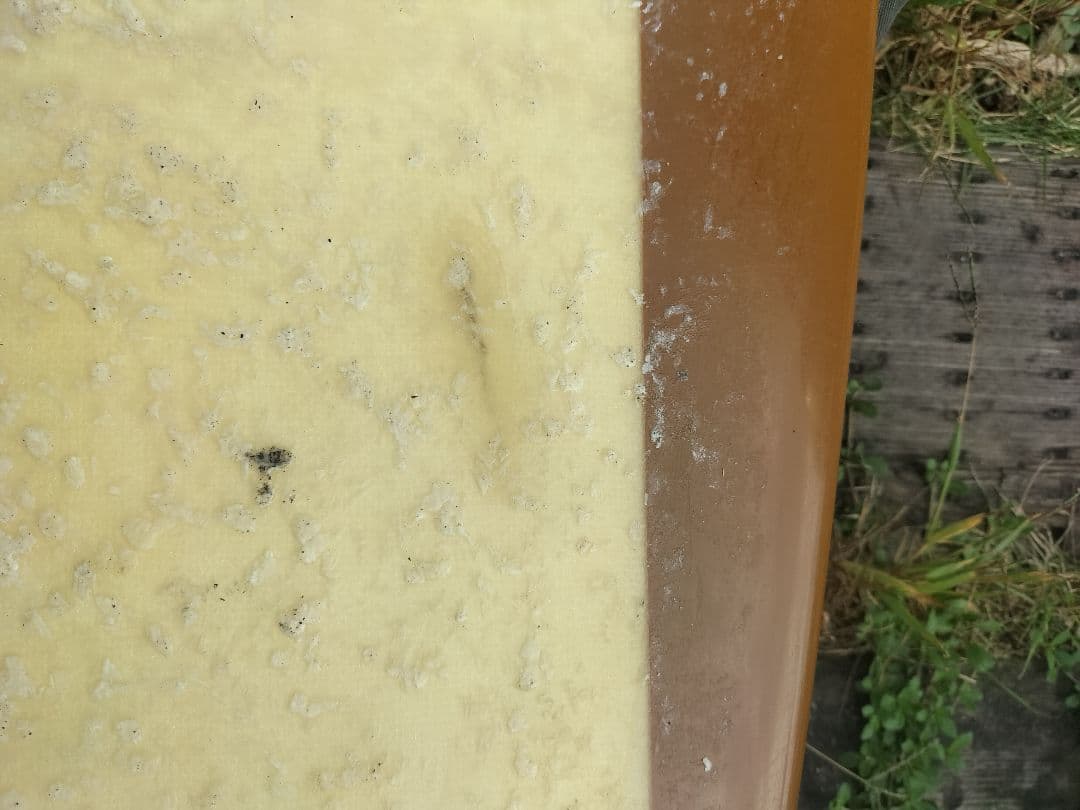 【滋賀より手渡し希望】 BING SURFBOARDS マリブチップ　10 ft