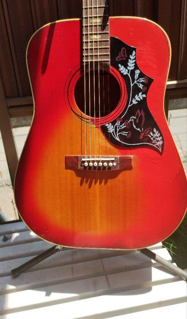 ストリートで！ ハミングバード PU付エレアコ ビンテージ！