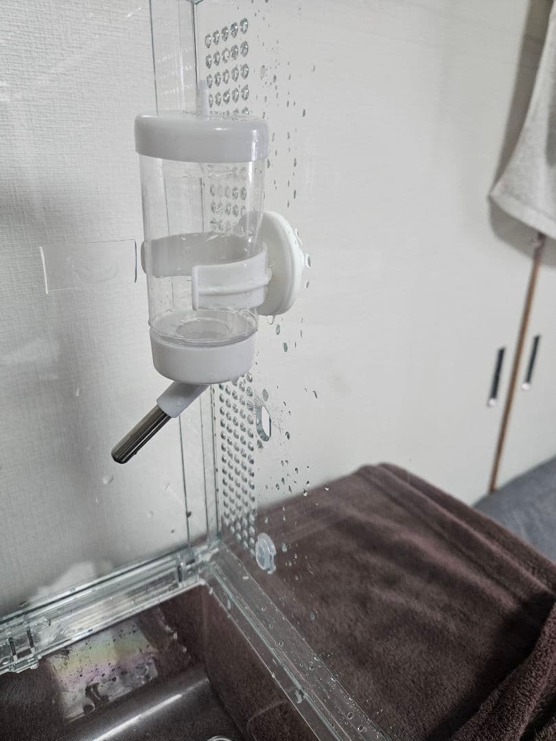 GEX グラスハーモニー　600　+　その他おまけ