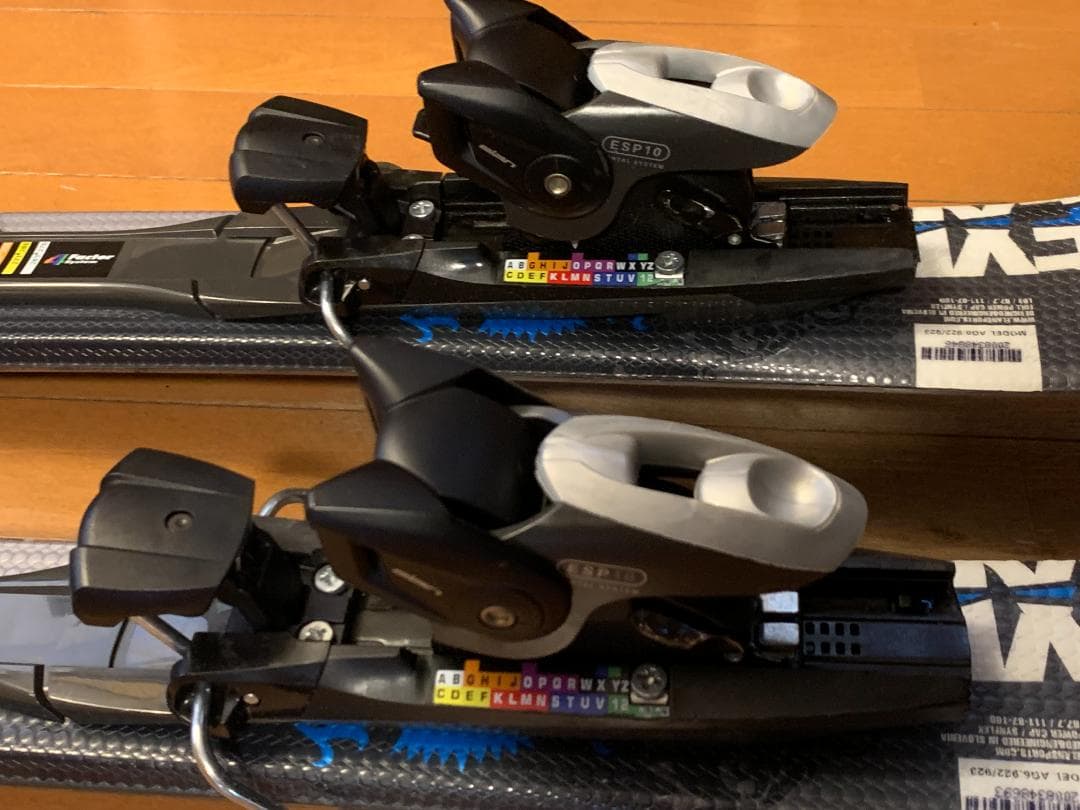 ELAN EXPO99スキー板・板用バッグ・スキーバンド・キャリーバンドセット